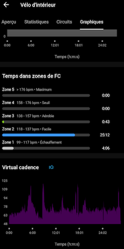 Example of activity in Garmin Connect Android